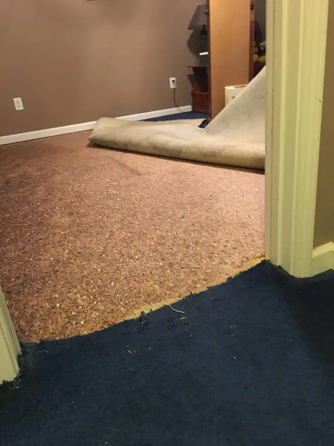 Carpet pad removal revealing water damage during Drying & Dehumidification in Freetown