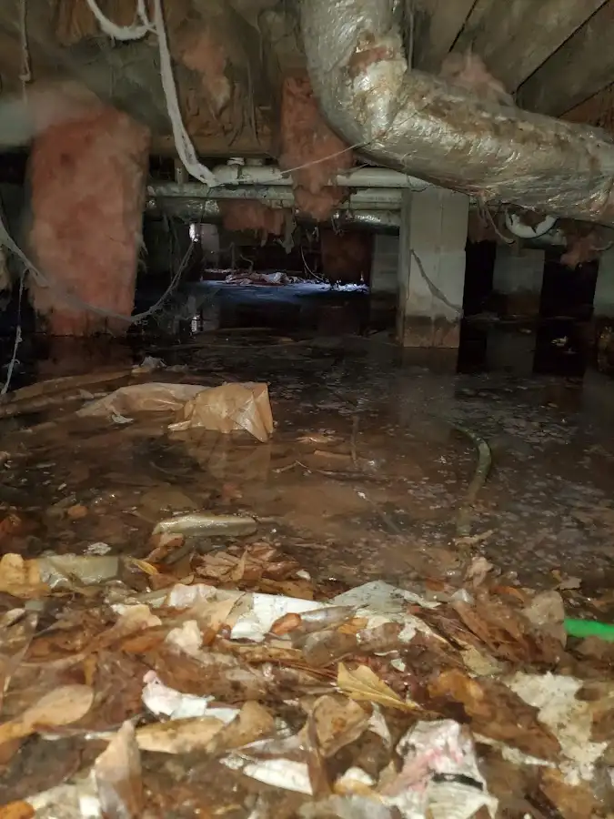 Crawl space flood assessment for Leak Detection & Repair in Freetown